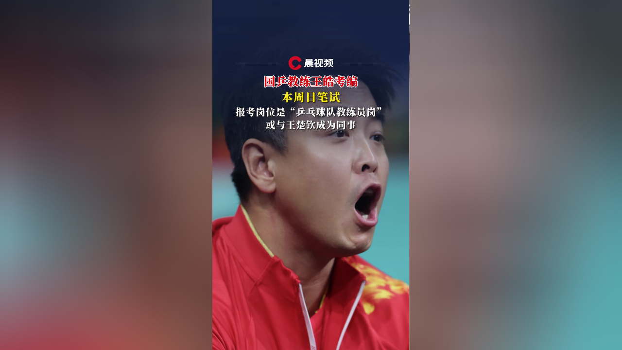 韩国乒乓球队血洗德国乒乓球队，王皓爆发神勇