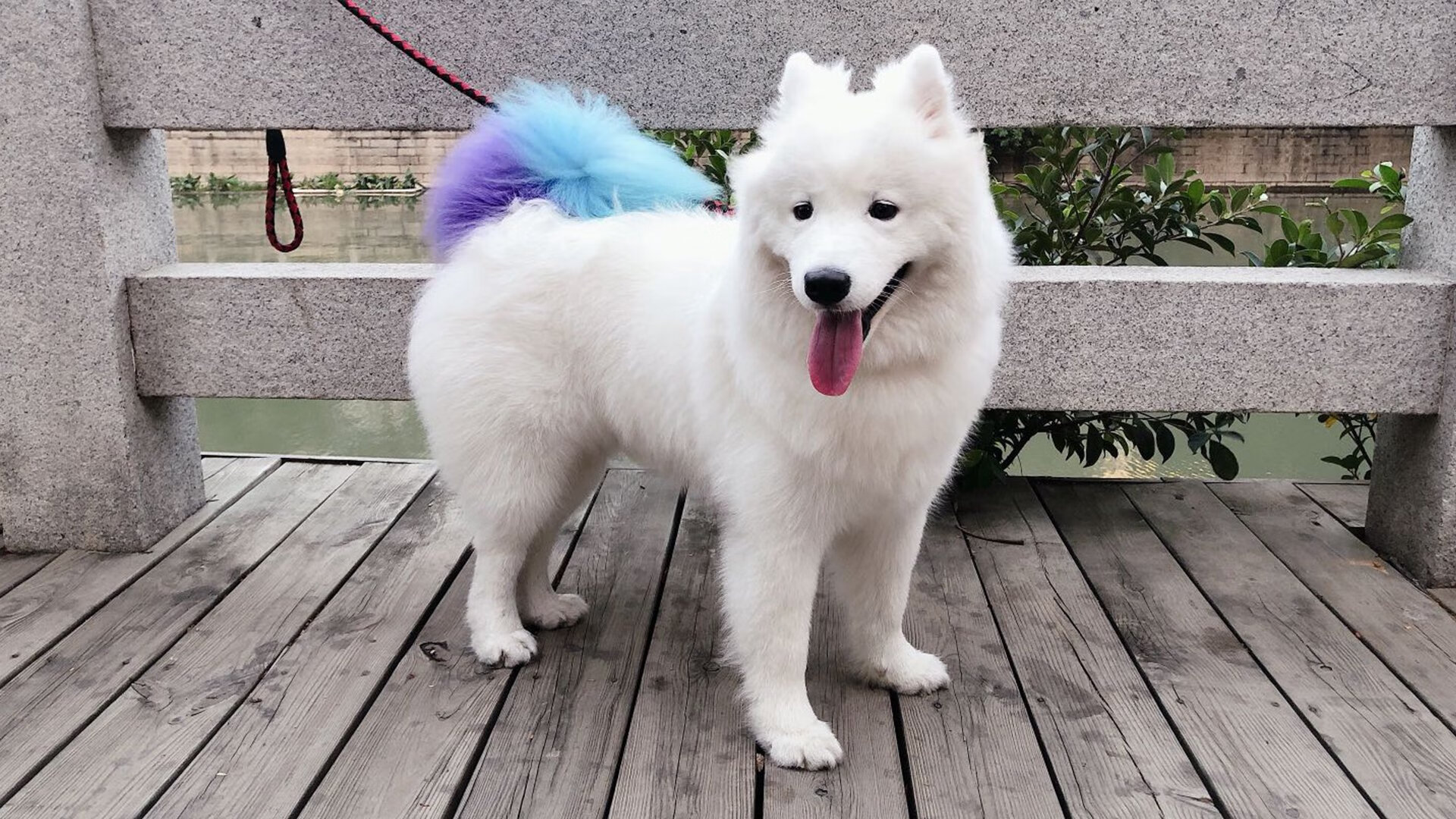 开云体育直播-意甲焦点战之夜，布雷默一手掌控比赛走势，书写防守艺术新篇章